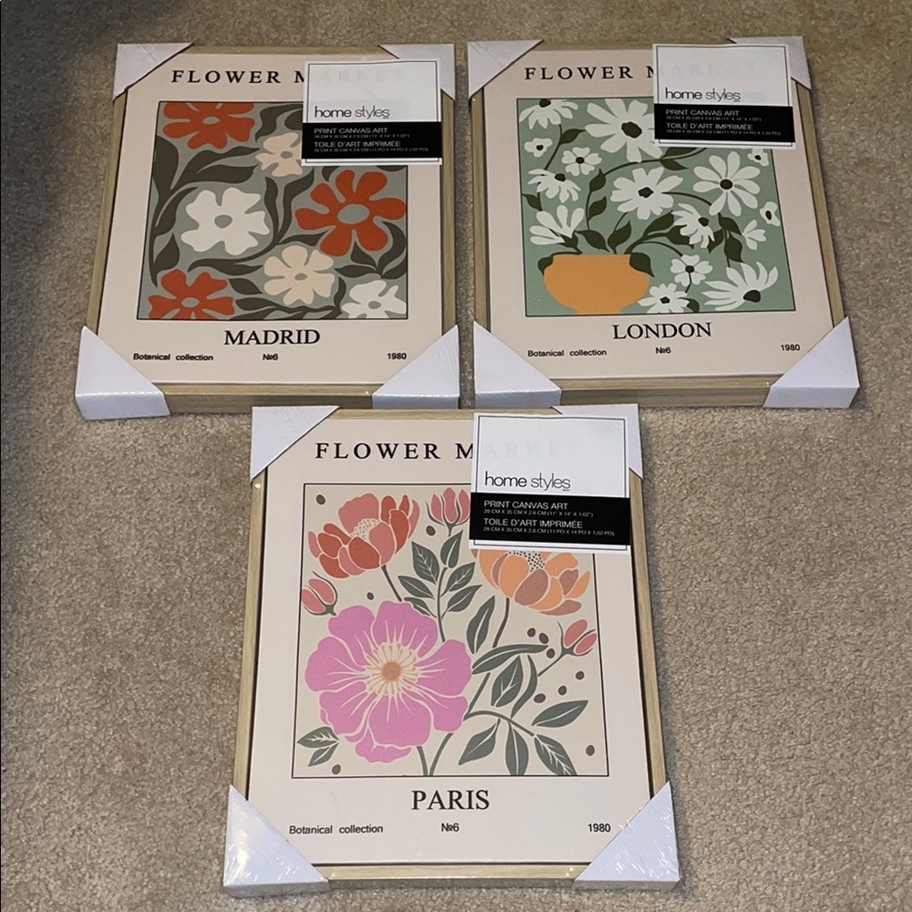 🌷Floral Canvas 3 Piece Art Set
 Madrid, London, Paris🌷
Brand new and sealed